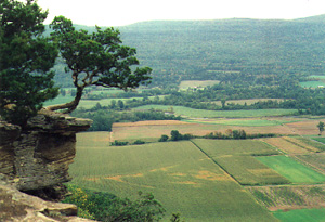 Vroman's Nose